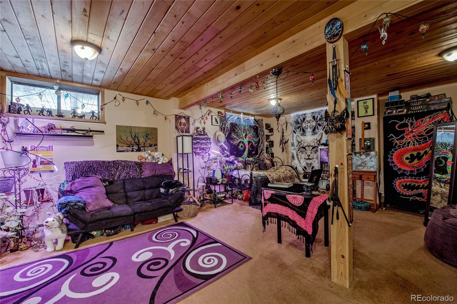 MLS Image #24 for 234  baby doe drive,leadville, Colorado