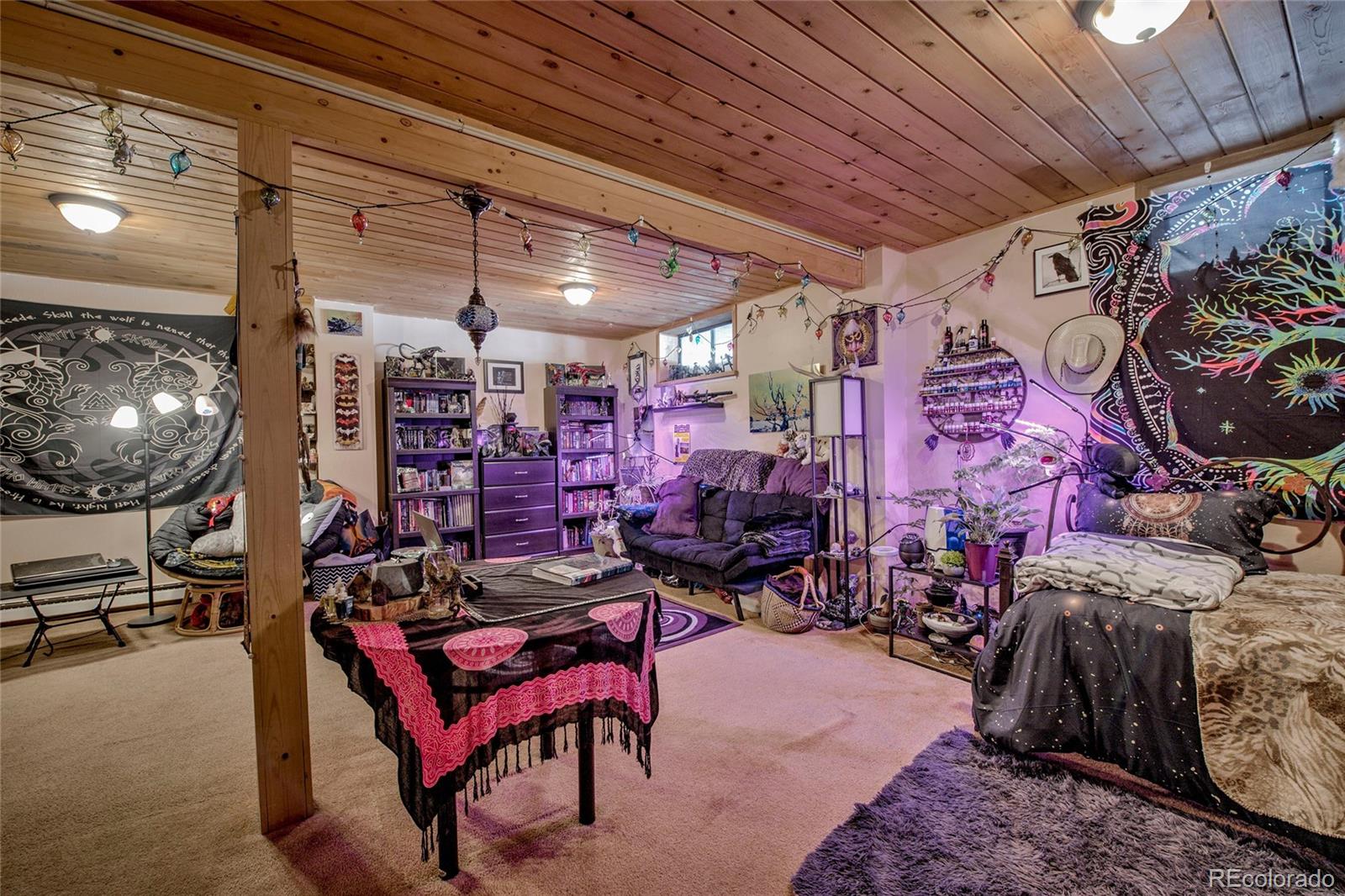 MLS Image #25 for 234  baby doe drive,leadville, Colorado