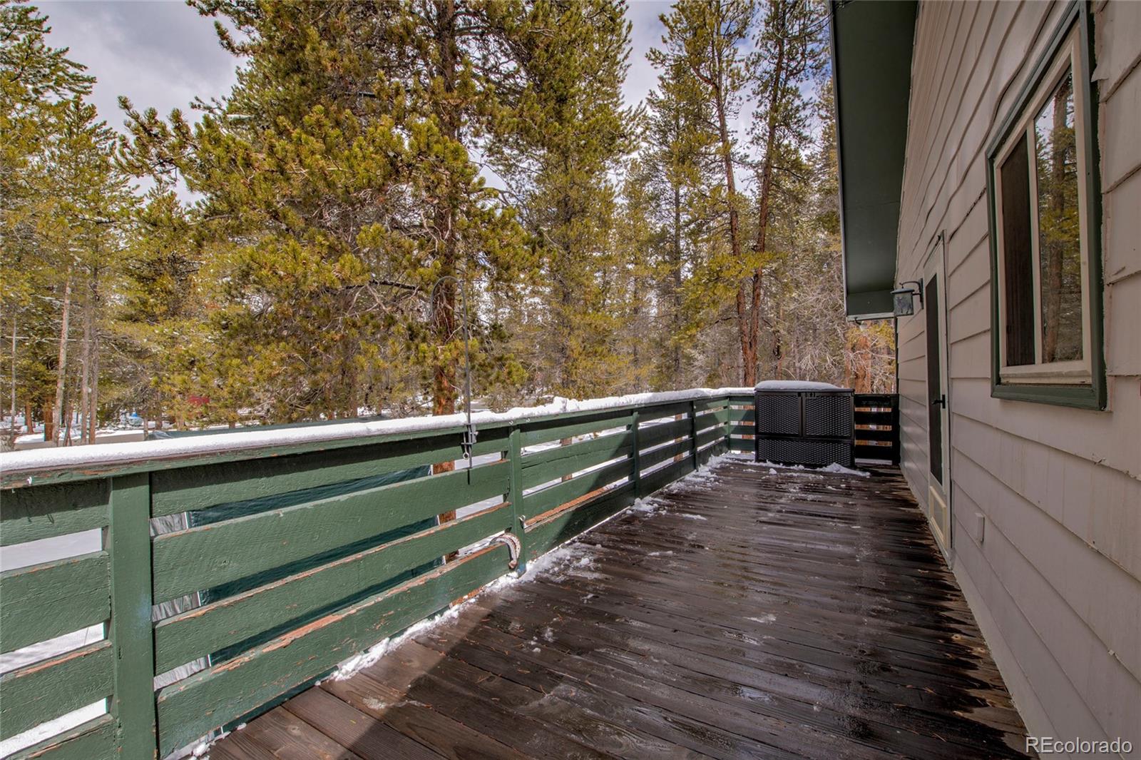 MLS Image #3 for 234  baby doe drive,leadville, Colorado