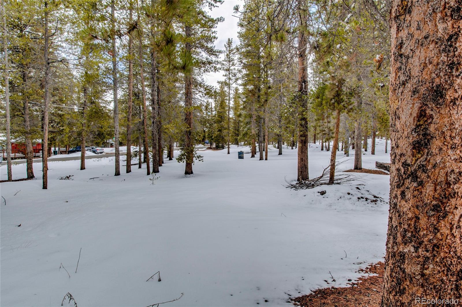 MLS Image #36 for 234  baby doe drive,leadville, Colorado