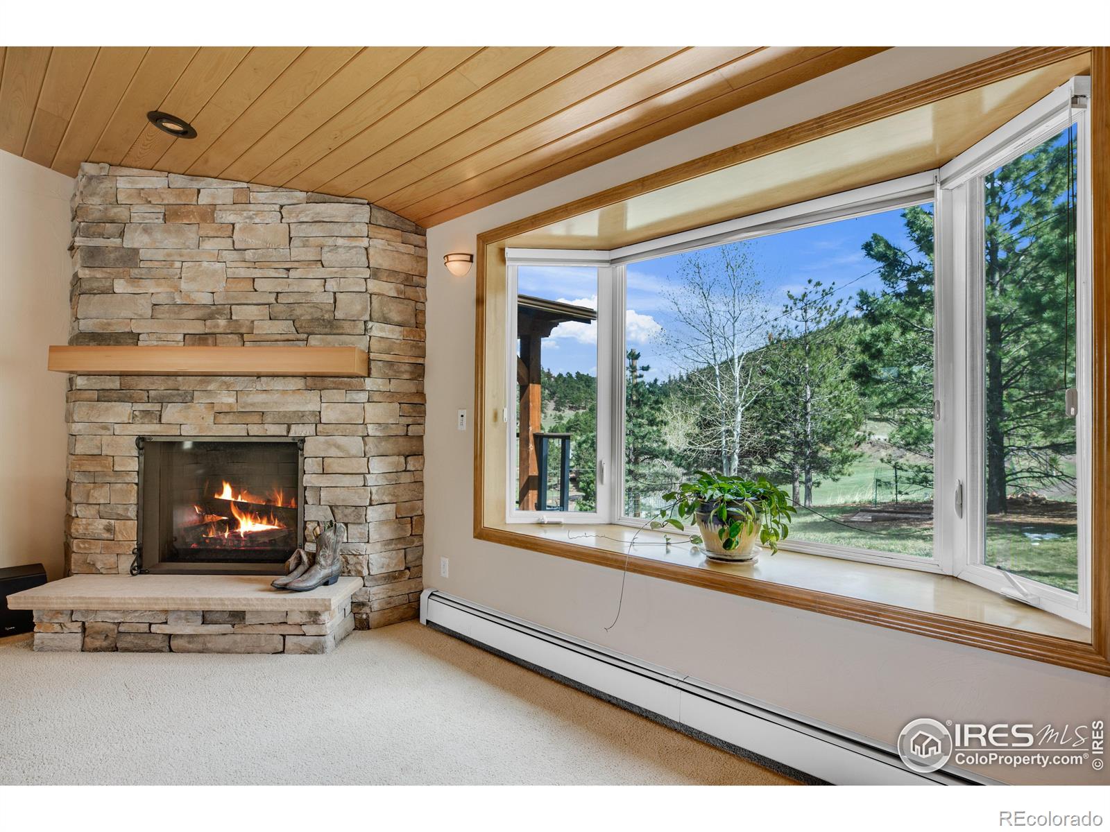 MLS Image #14 for 8897  ute drive,golden, Colorado