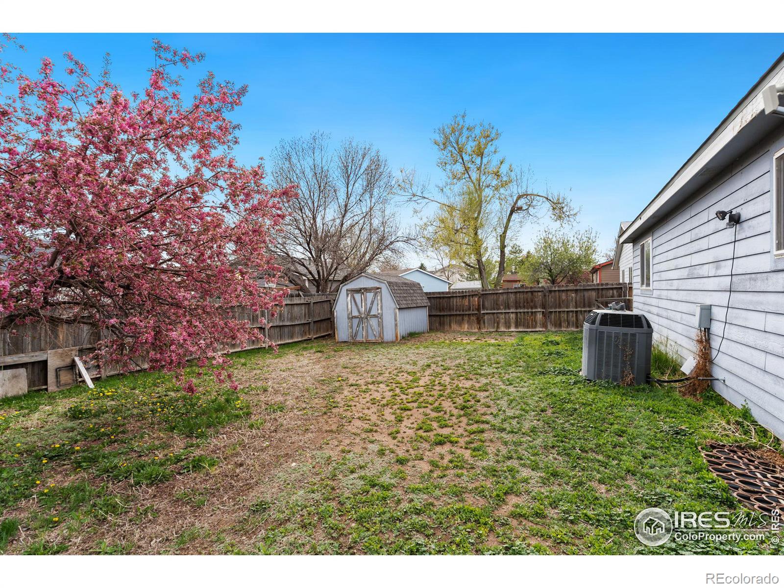 MLS Image #15 for 3811  hamilton avenue,wellington, Colorado