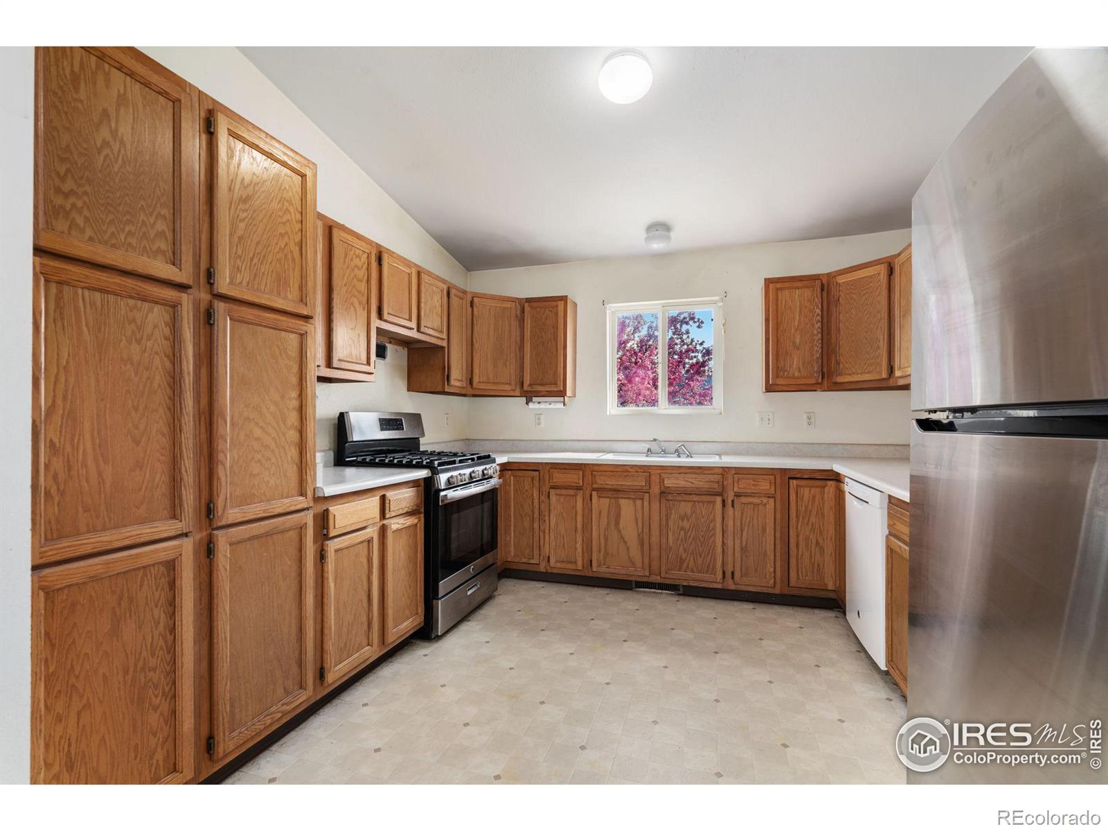 MLS Image #4 for 3811  hamilton avenue,wellington, Colorado