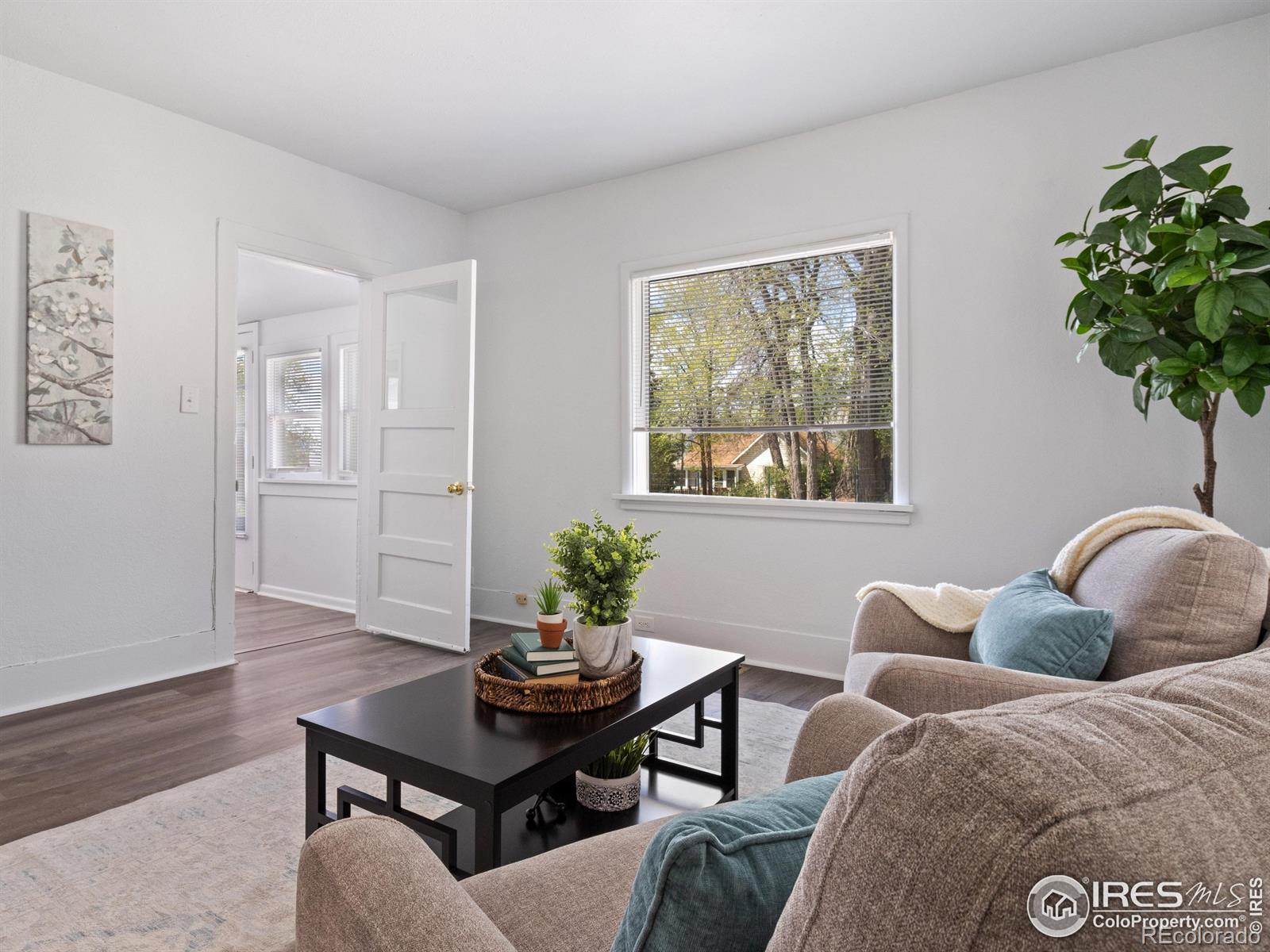 MLS Image #6 for 156  sunset street,longmont, Colorado