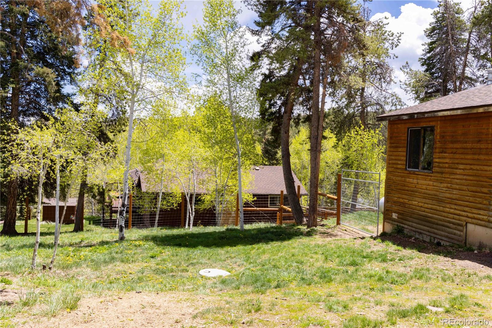 MLS Image #16 for 12159  circle drive,conifer, Colorado