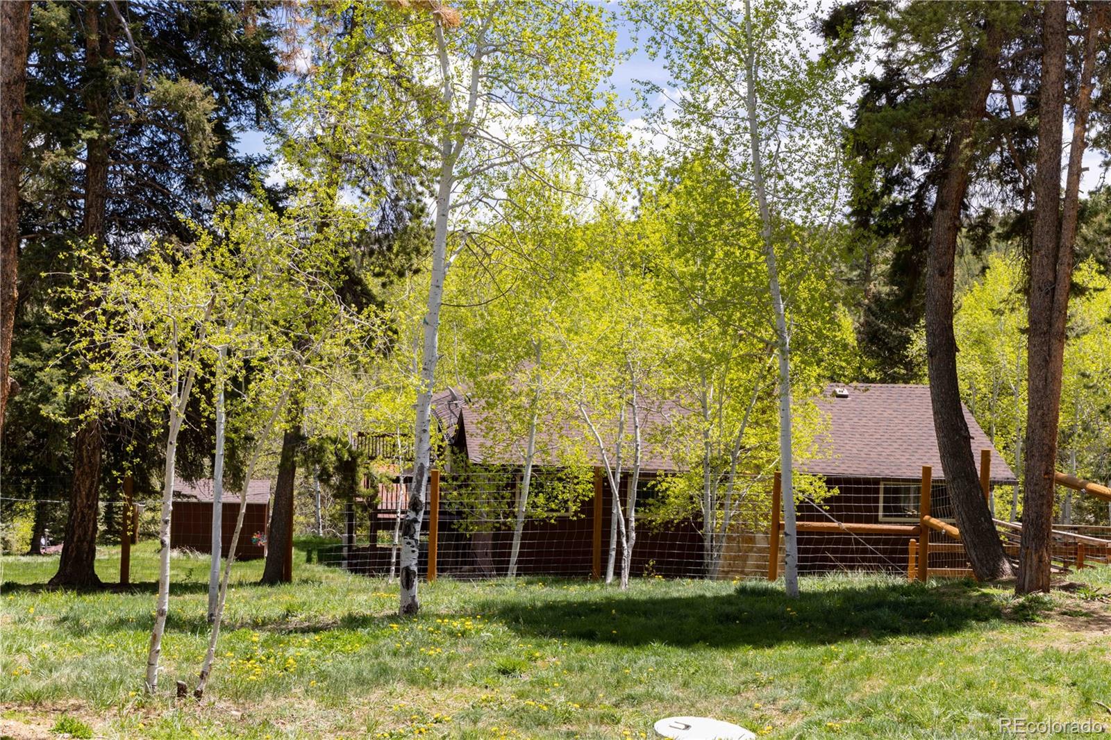 MLS Image #17 for 12159  circle drive,conifer, Colorado