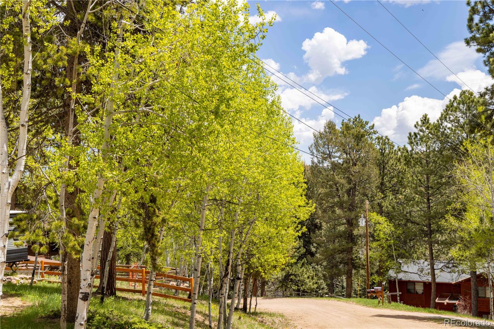 MLS Image #19 for 12159  circle drive,conifer, Colorado