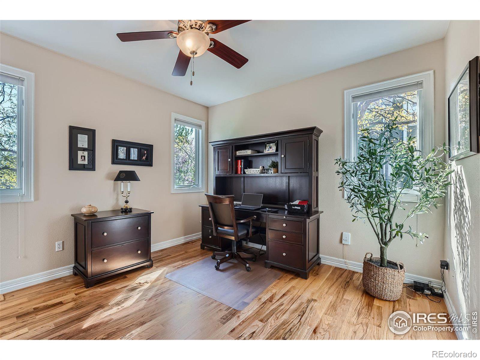 MLS Image #10 for 2260  mariner drive,longmont, Colorado