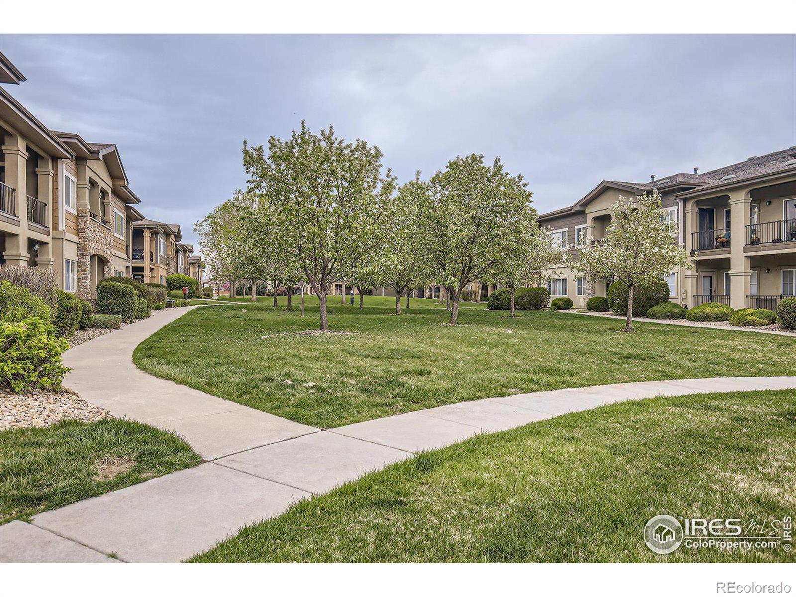 MLS Image #16 for 1024  sonoma circle,longmont, Colorado