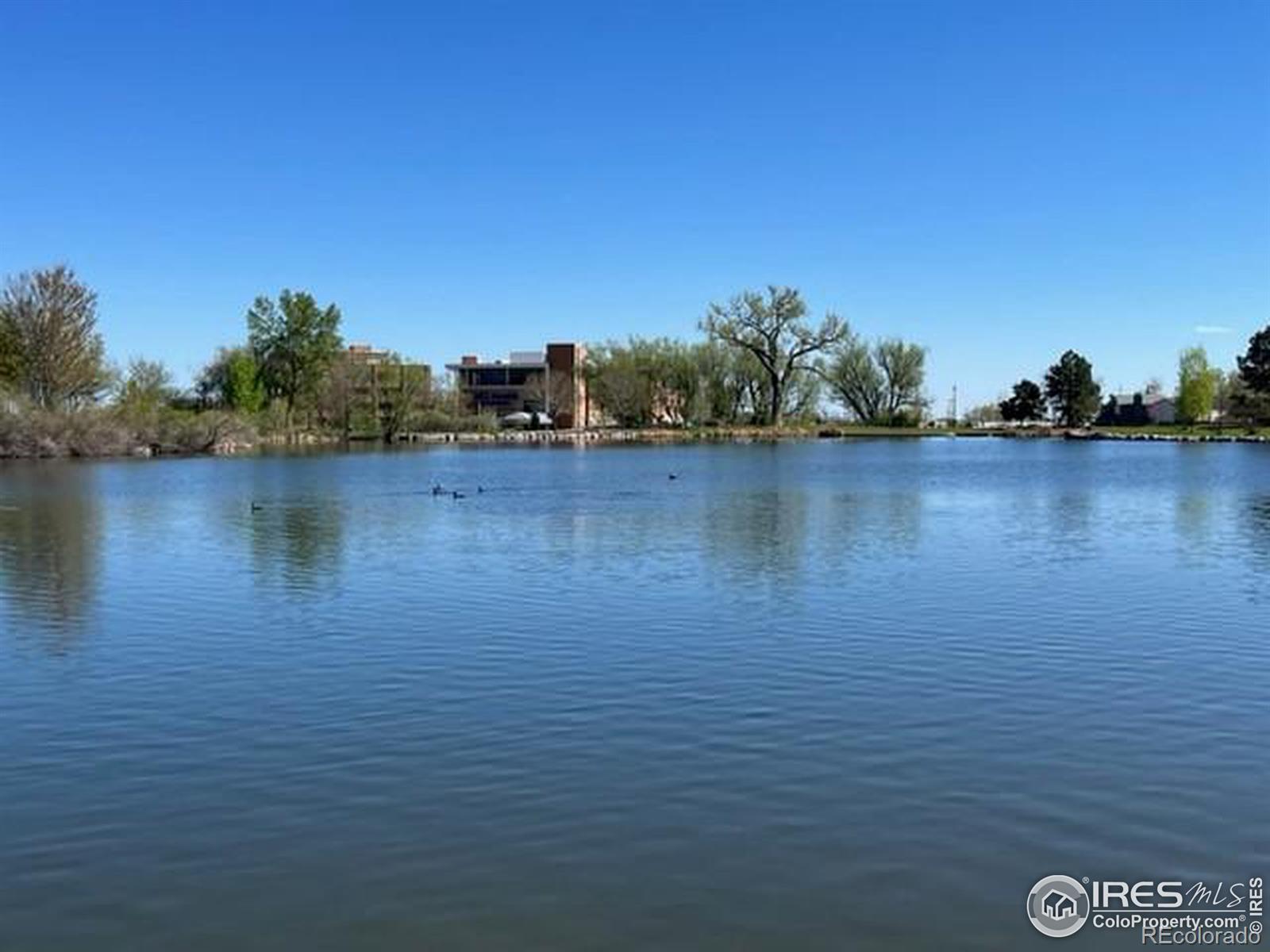 MLS Image #18 for 11604  community center drive,northglenn, Colorado