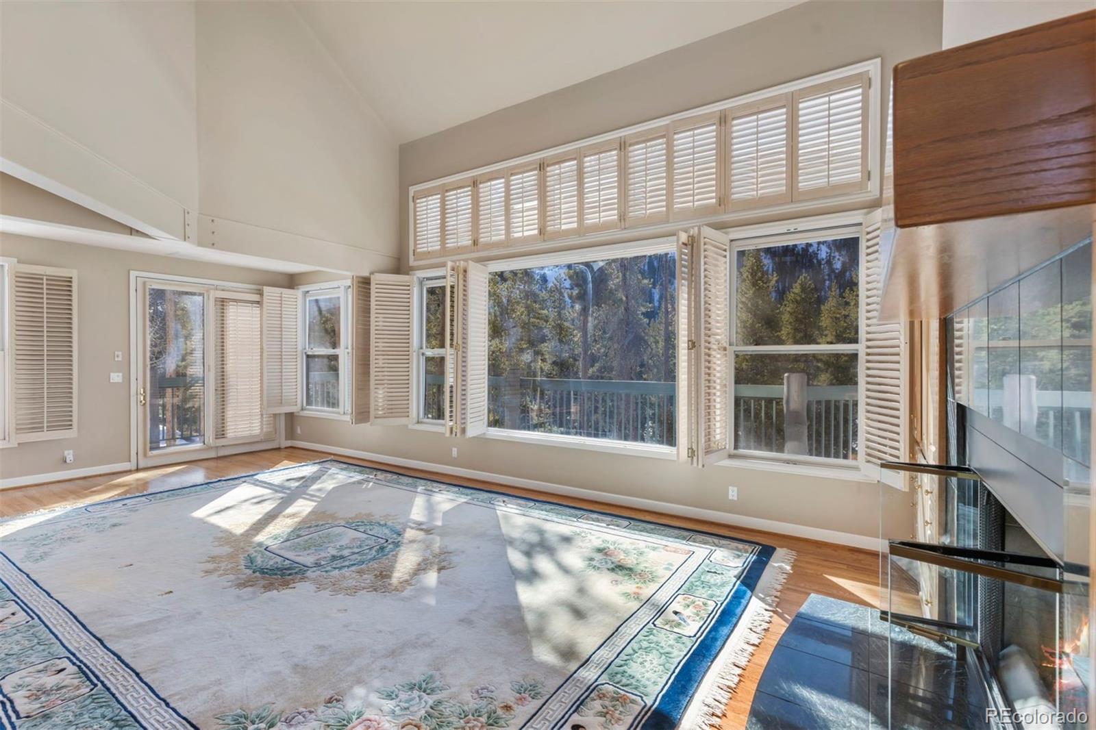 MLS Image #4 for 352  elk crossing lane,keystone, Colorado
