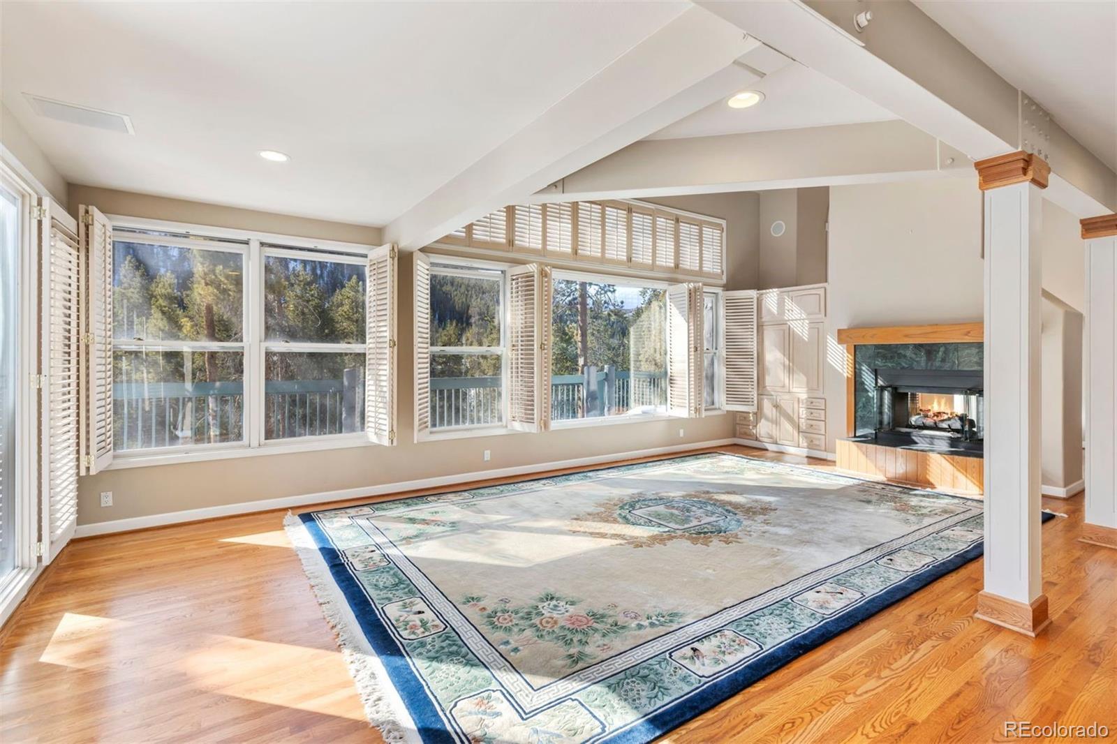 MLS Image #6 for 352  elk crossing lane,keystone, Colorado