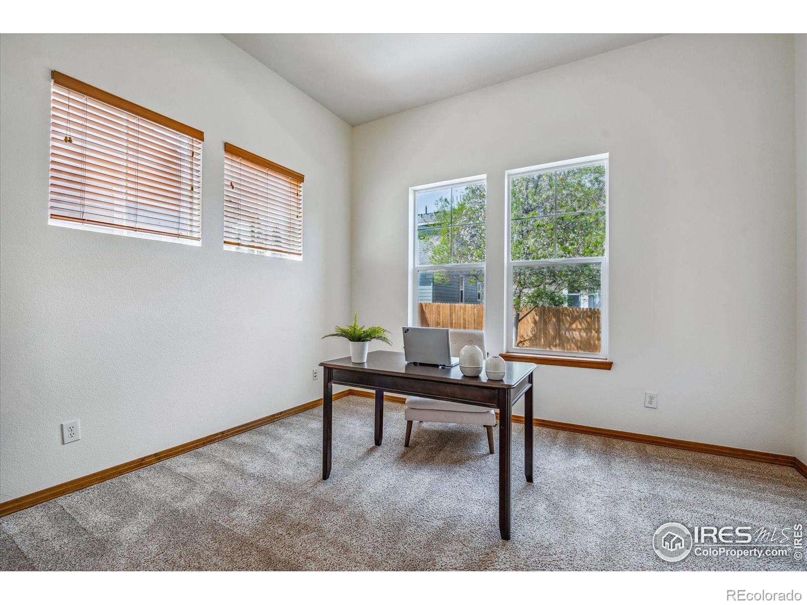 MLS Image #14 for 728  tanager circle,longmont, Colorado