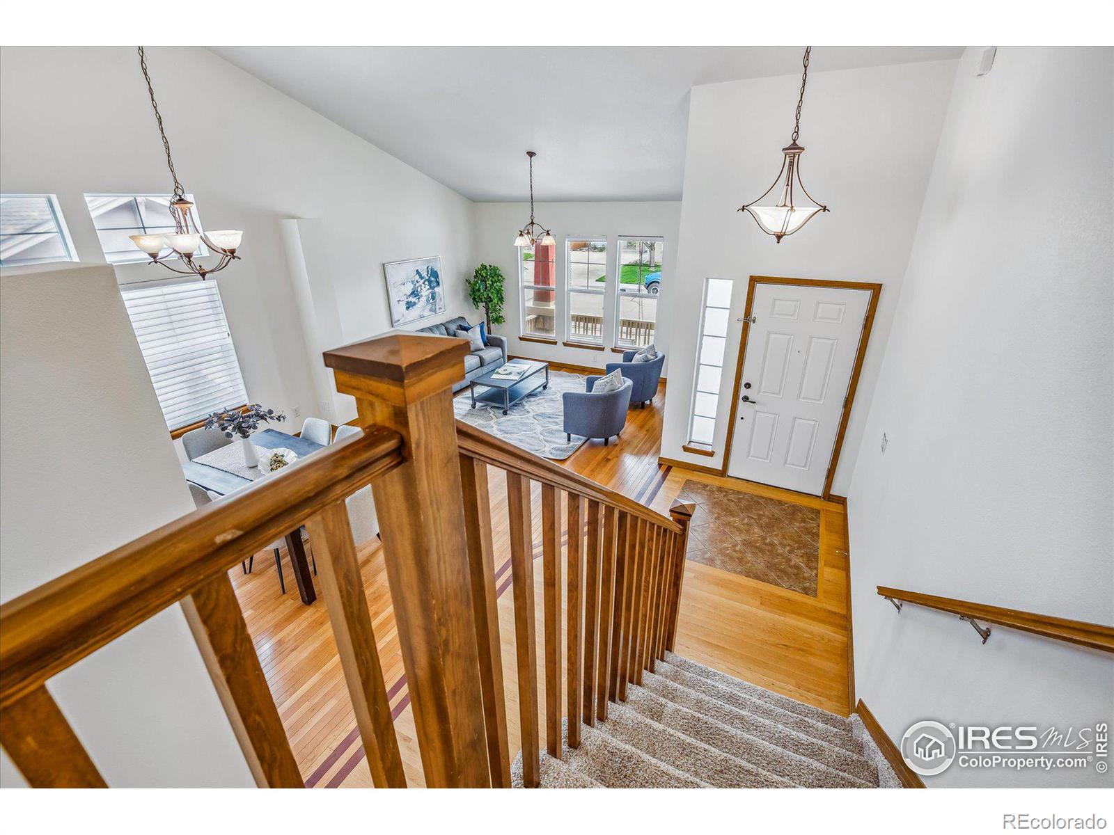 MLS Image #16 for 728  tanager circle,longmont, Colorado