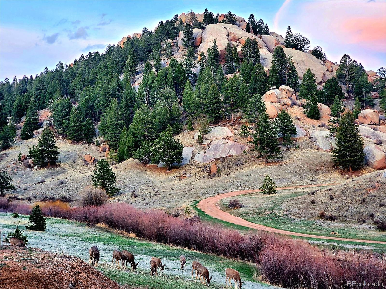 MLS Image #4 for 45  saltlick circle,florissant, Colorado