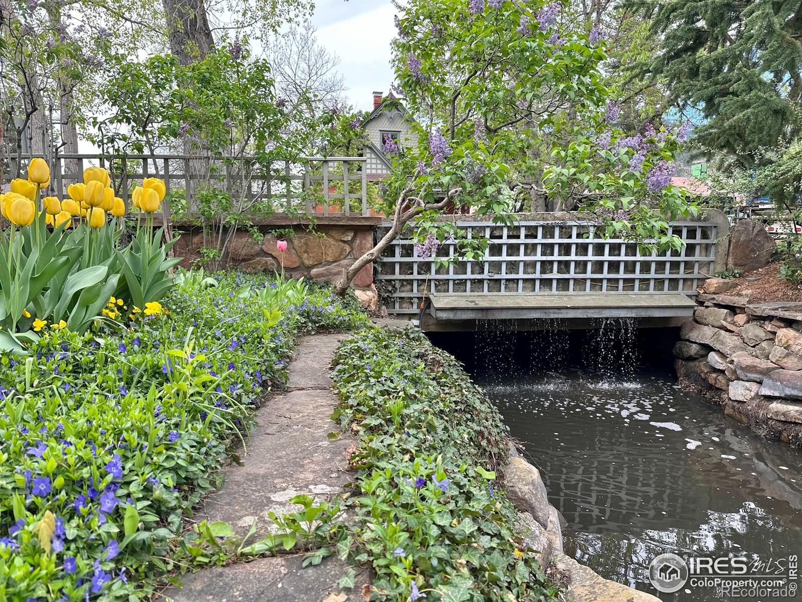 MLS Image #35 for 603  spruce street,boulder, Colorado