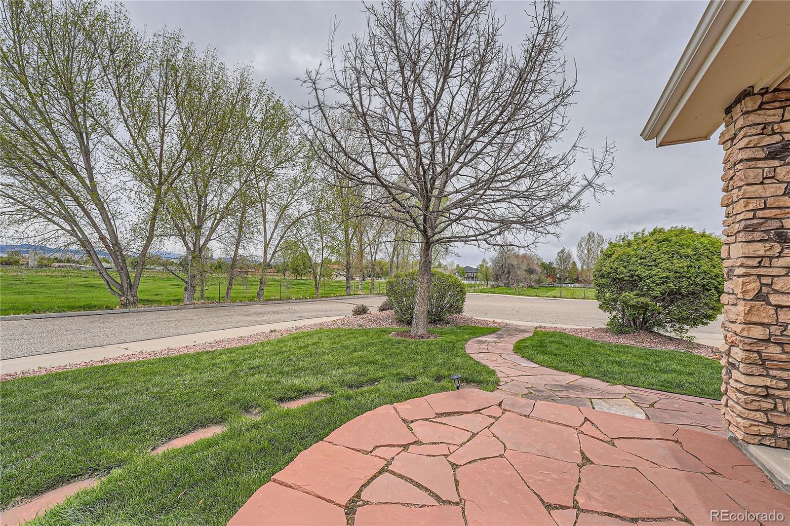 MLS Image #3 for 1220  wildfire court,longmont, Colorado