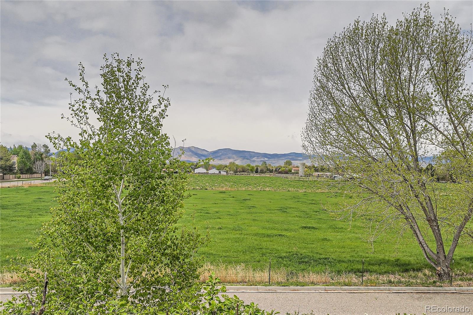 MLS Image #41 for 1220  wildfire court,longmont, Colorado