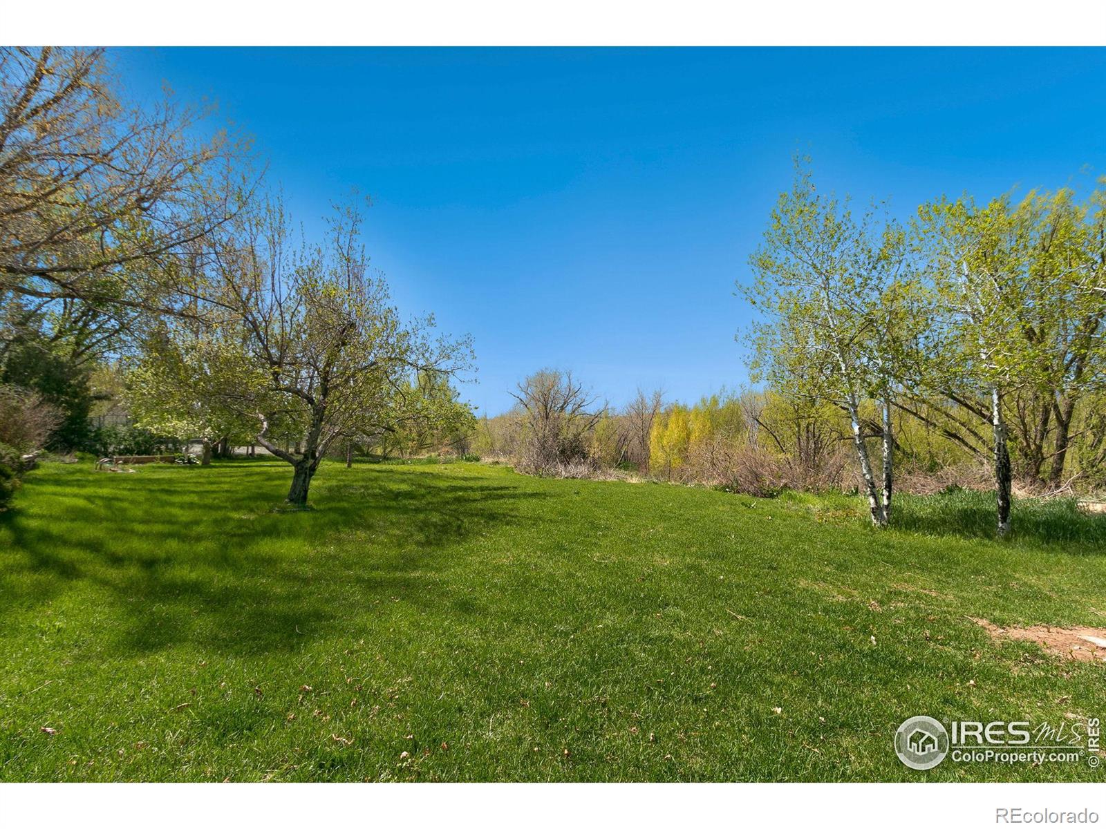 MLS Image #24 for 1301  westridge drive,loveland, Colorado