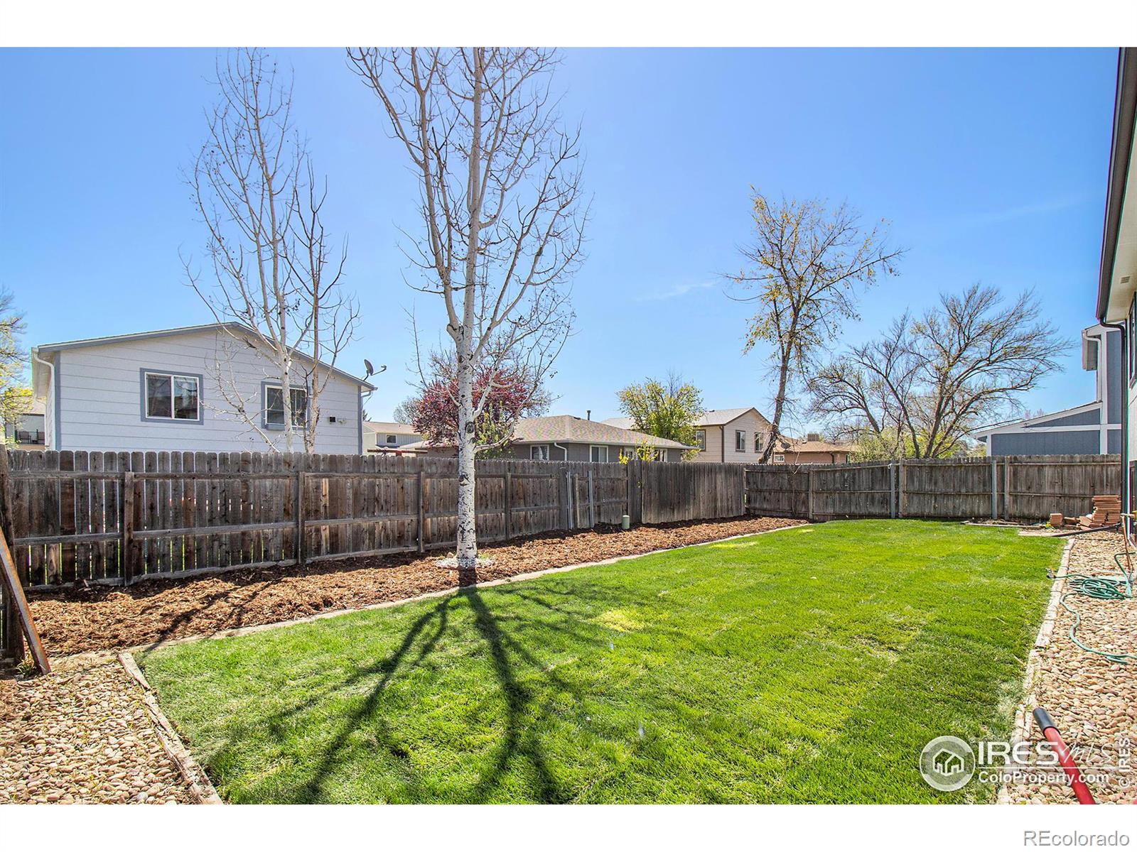 MLS Image #9 for 1848  logan street,longmont, Colorado