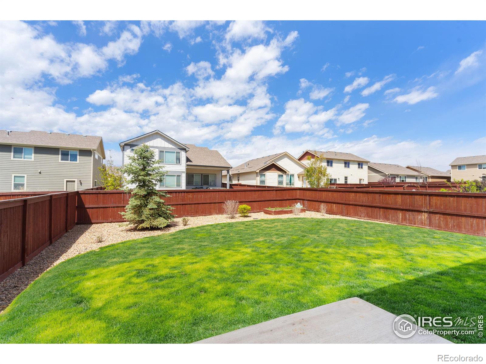 MLS Image #39 for 1480  first light drive,windsor, Colorado