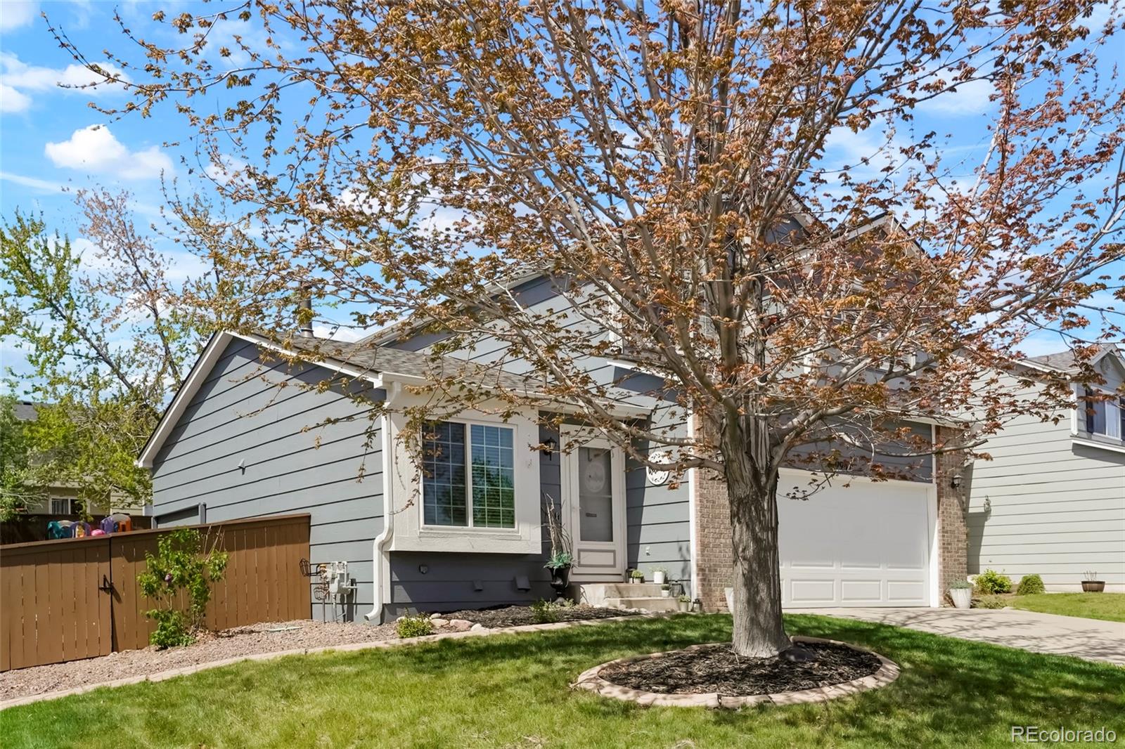 Report Image for 9941  Mackay Drive,Highlands Ranch, Colorado