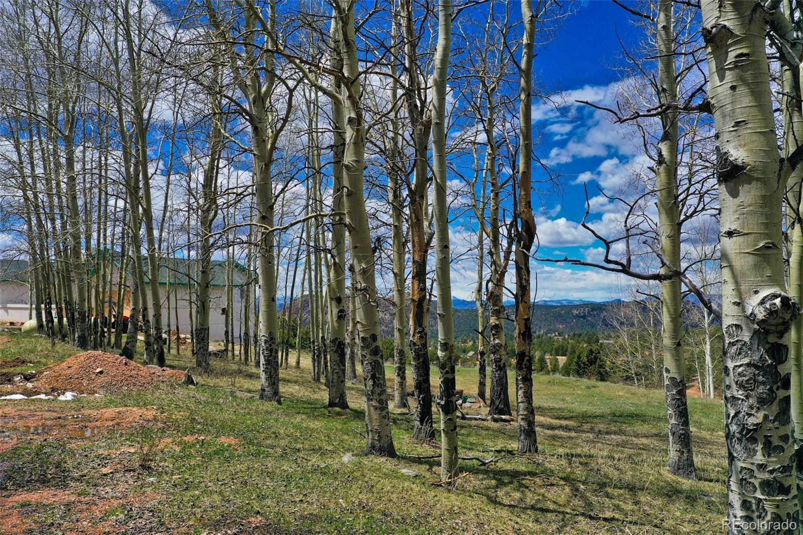 MLS Image #44 for 316  troy way,cripple creek, Colorado