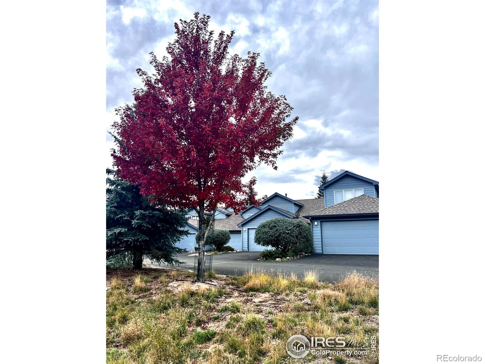 MLS Image #22 for 1590  raven avenue,estes park, Colorado