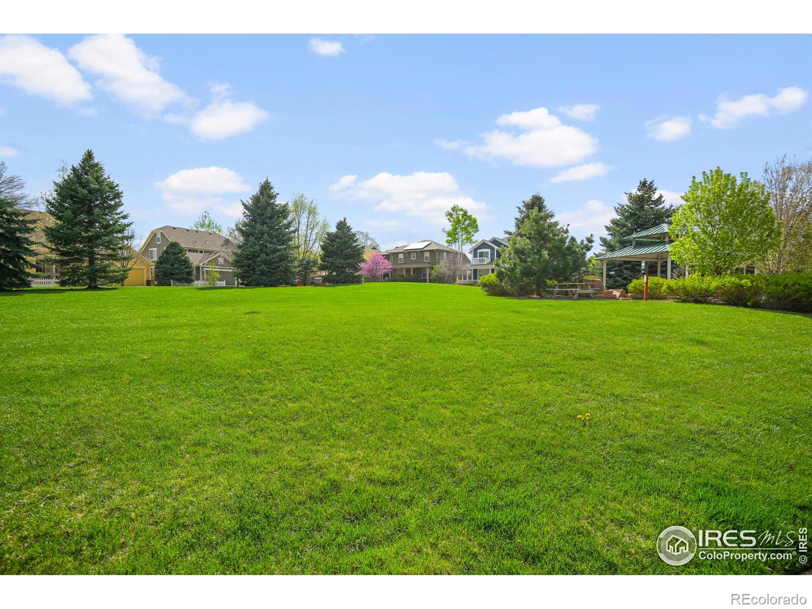 MLS Image #36 for 2994  thunder lake circle,lafayette, Colorado