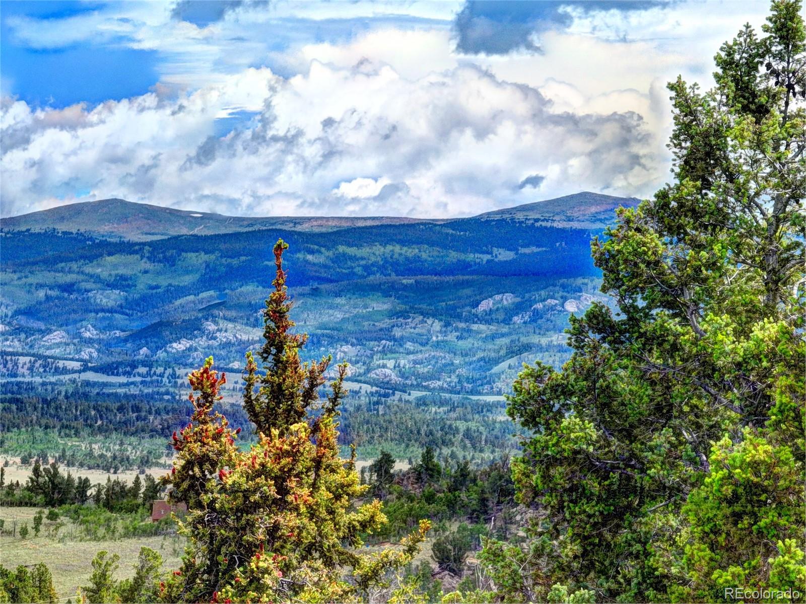 MLS Image #8 for 147  wells fargo circle,jefferson, Colorado