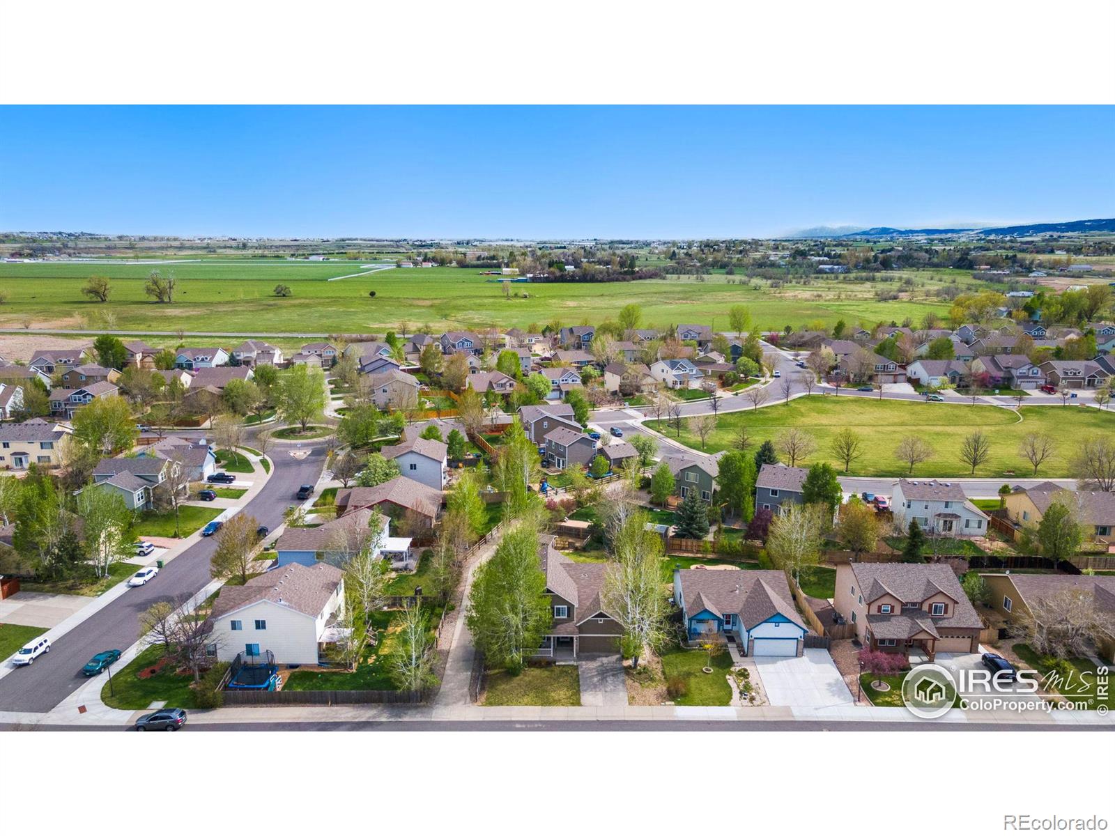 MLS Image #34 for 3704  leopard street,loveland, Colorado