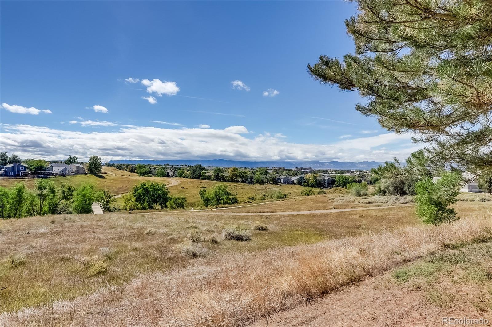 MLS Image #37 for 514  longfellow lane,highlands ranch, Colorado