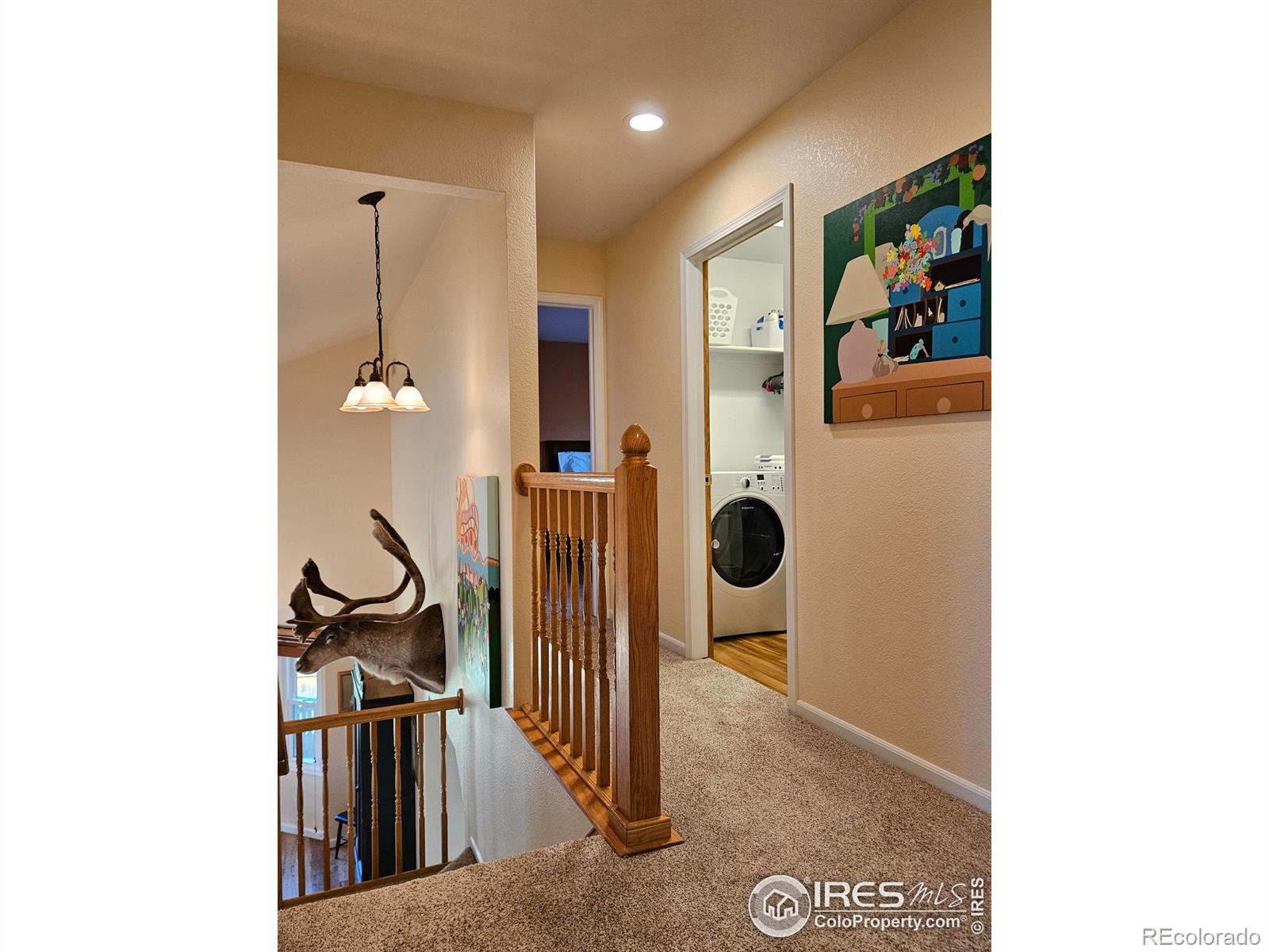 MLS Image #18 for 606  ramah drive,fort collins, Colorado