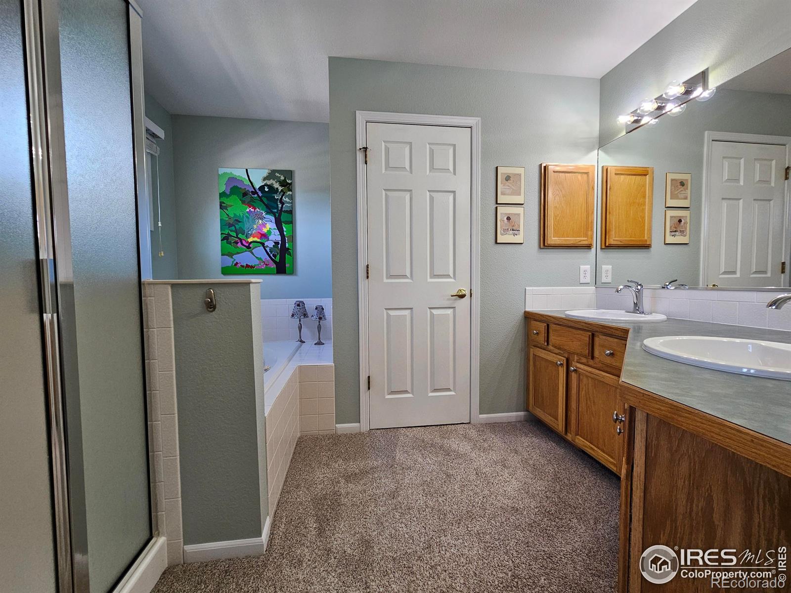 MLS Image #25 for 606  ramah drive,fort collins, Colorado