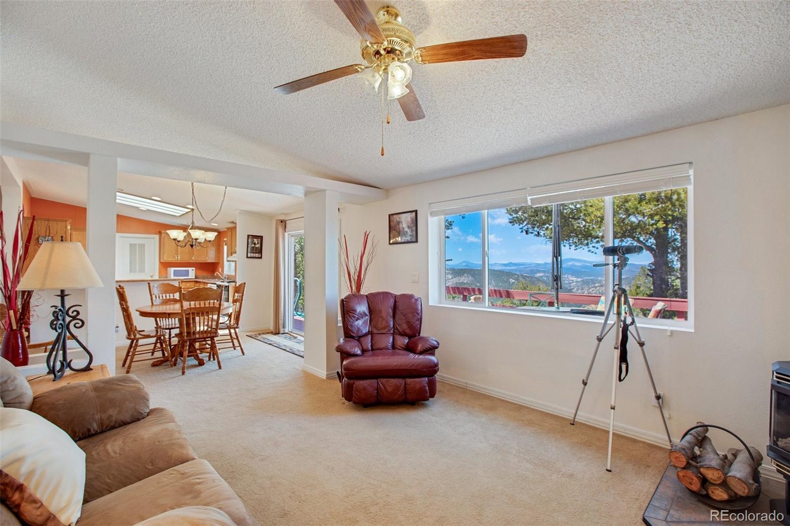 MLS Image #12 for 187  blue spruce road,divide, Colorado