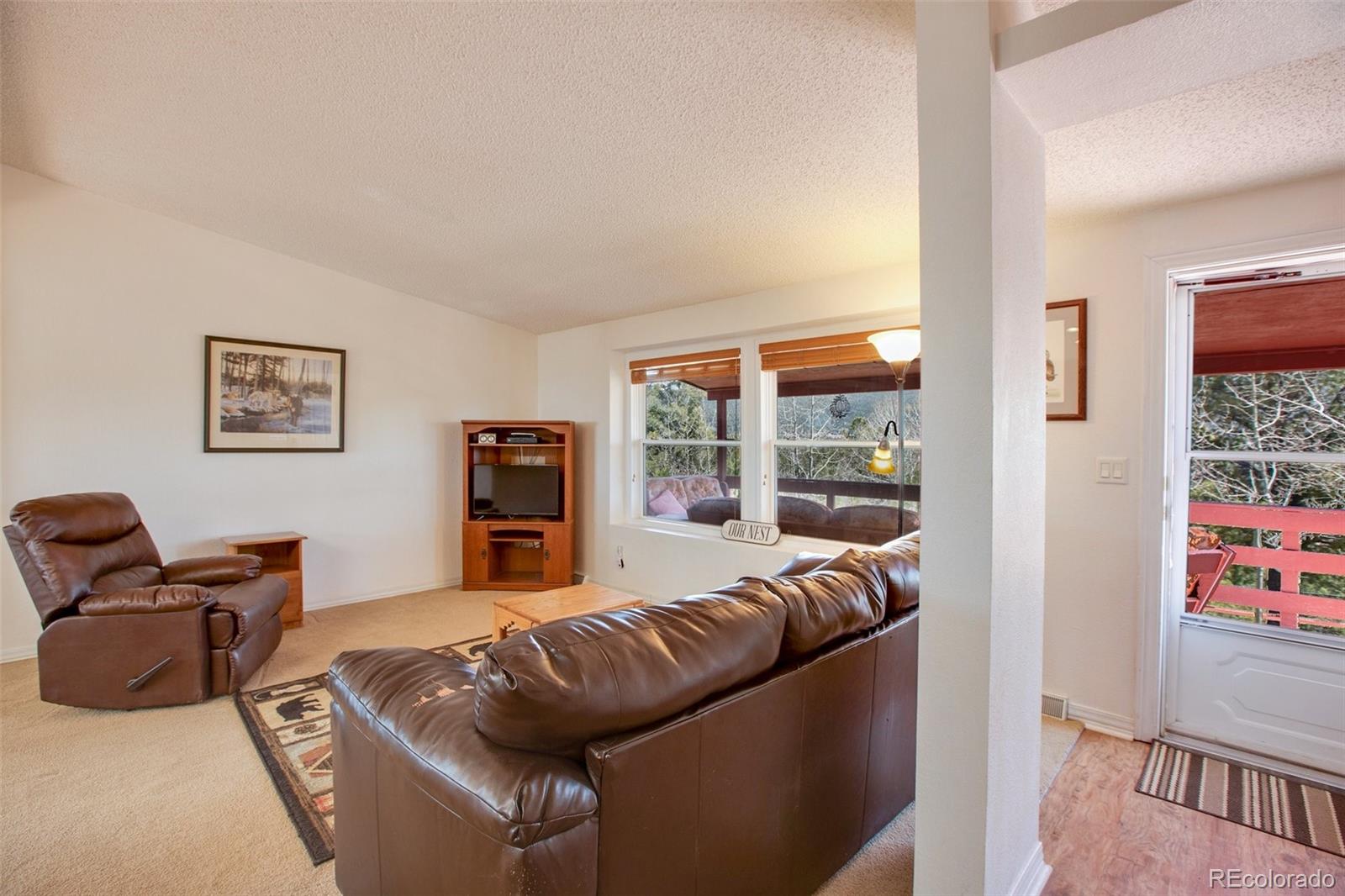 MLS Image #13 for 187  blue spruce road,divide, Colorado