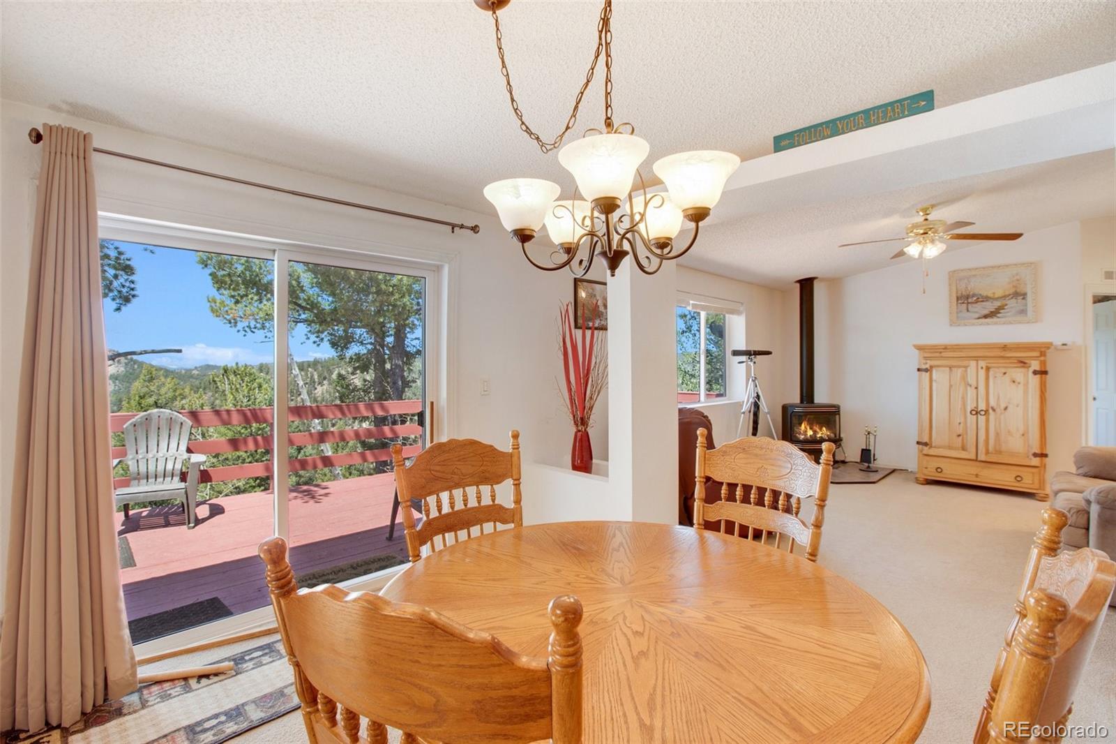 MLS Image #18 for 187  blue spruce road,divide, Colorado