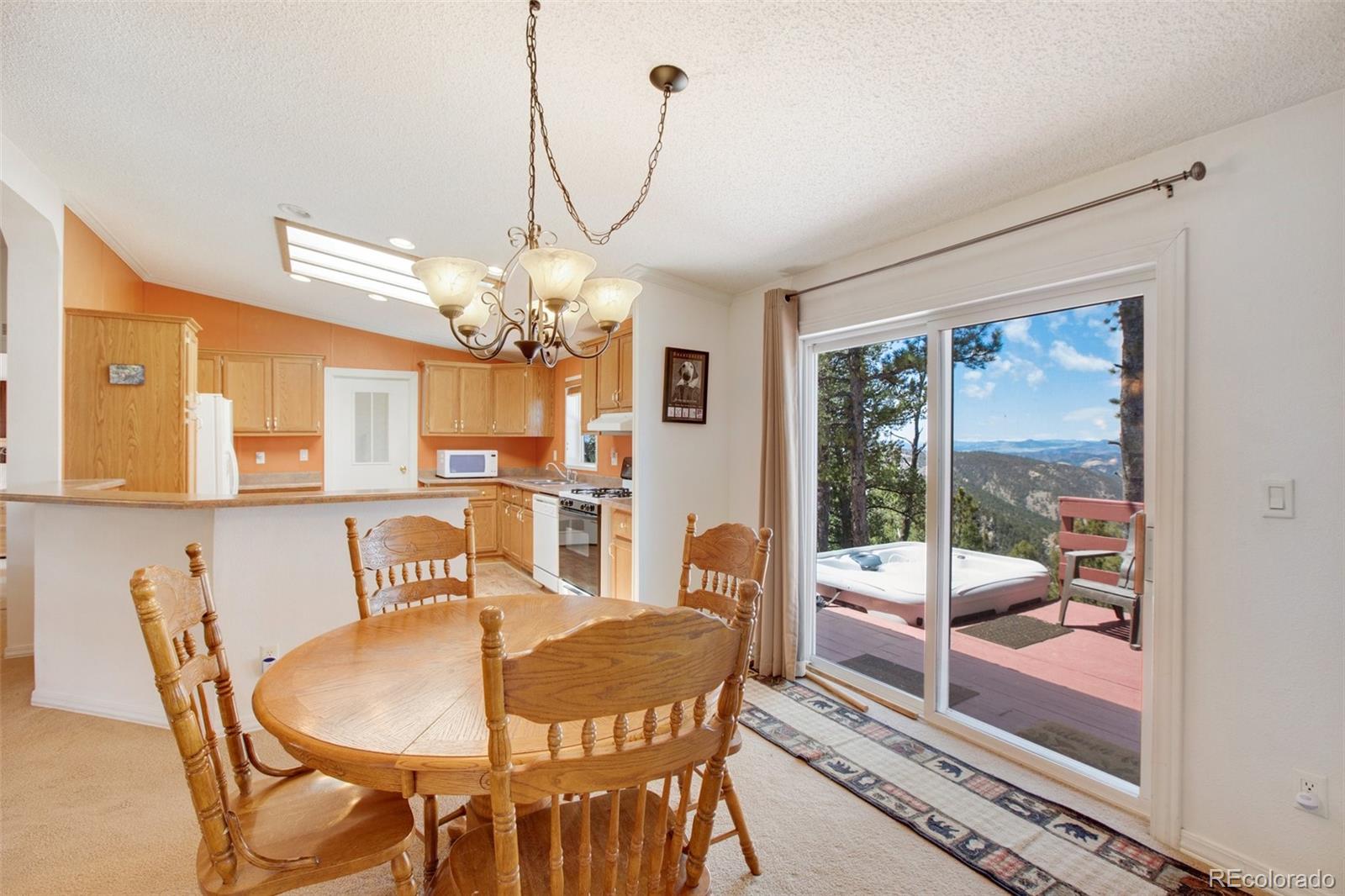 MLS Image #22 for 187  blue spruce road,divide, Colorado