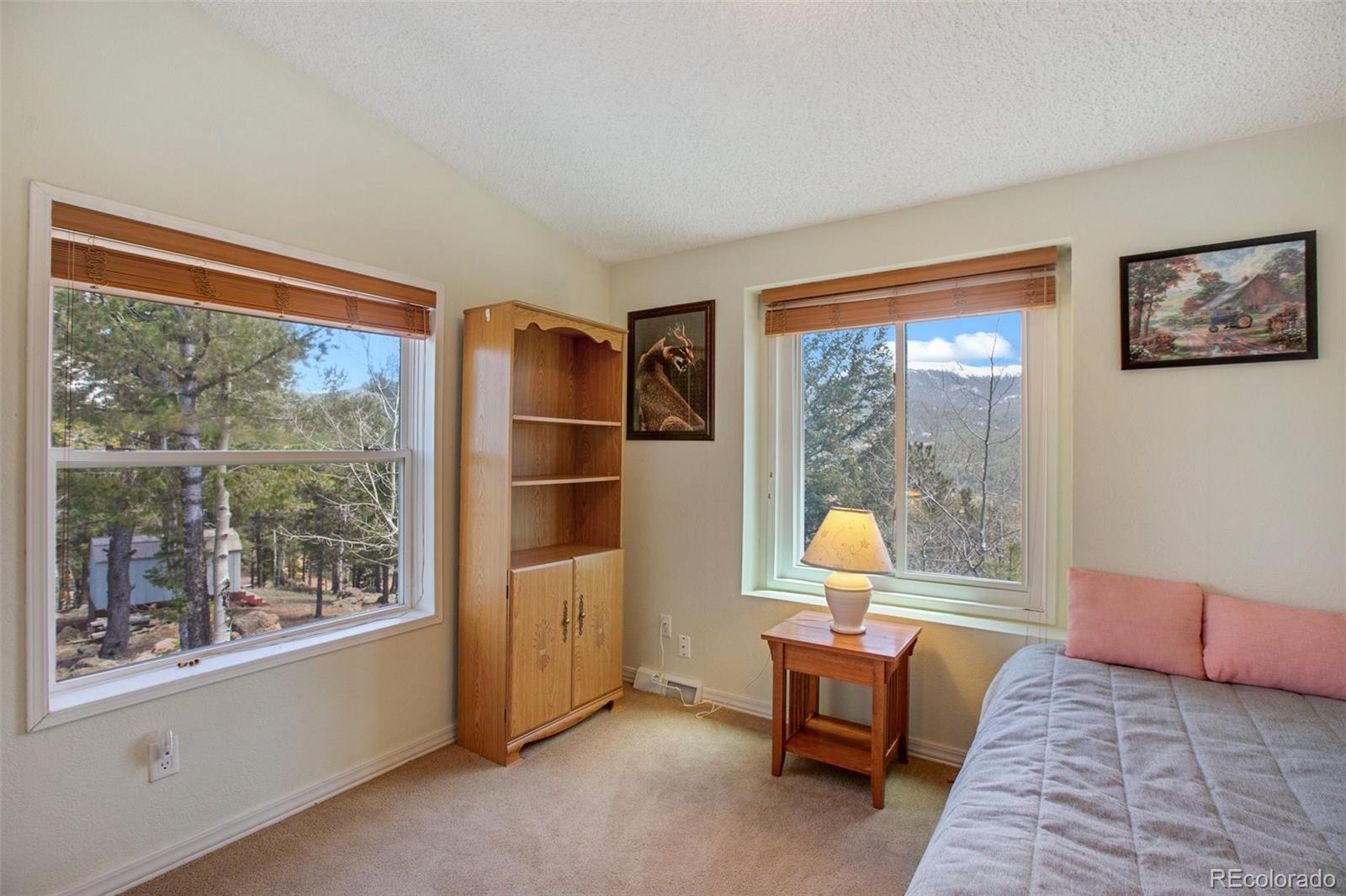 MLS Image #26 for 187  blue spruce road,divide, Colorado