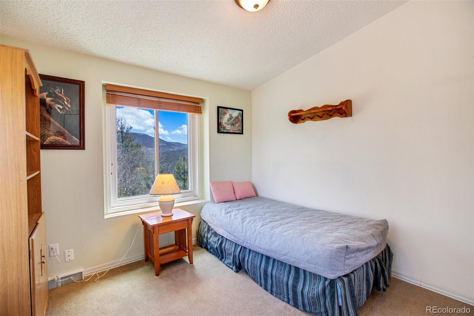 MLS Image #27 for 187  blue spruce road,divide, Colorado