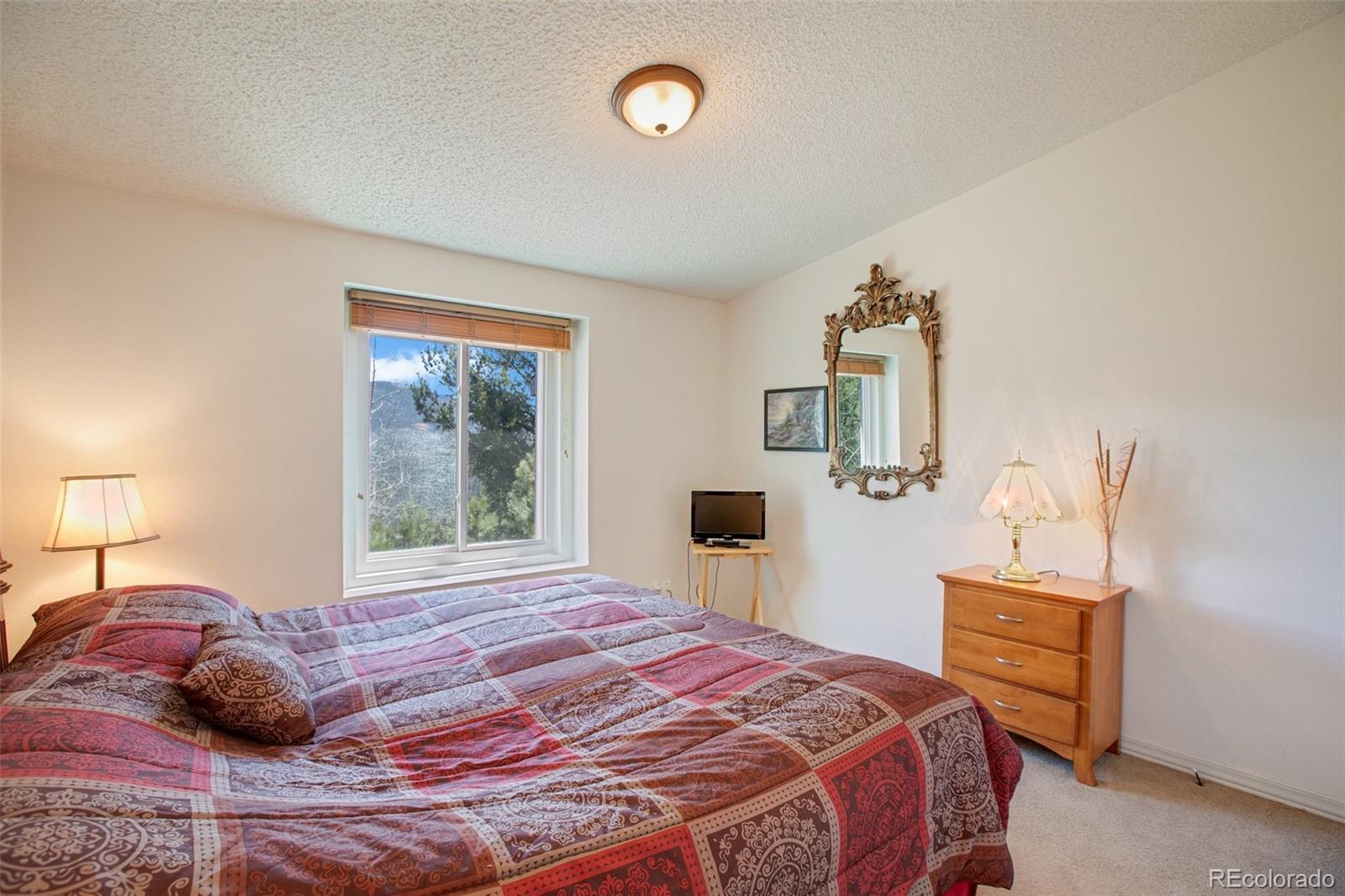 MLS Image #29 for 187  blue spruce road,divide, Colorado