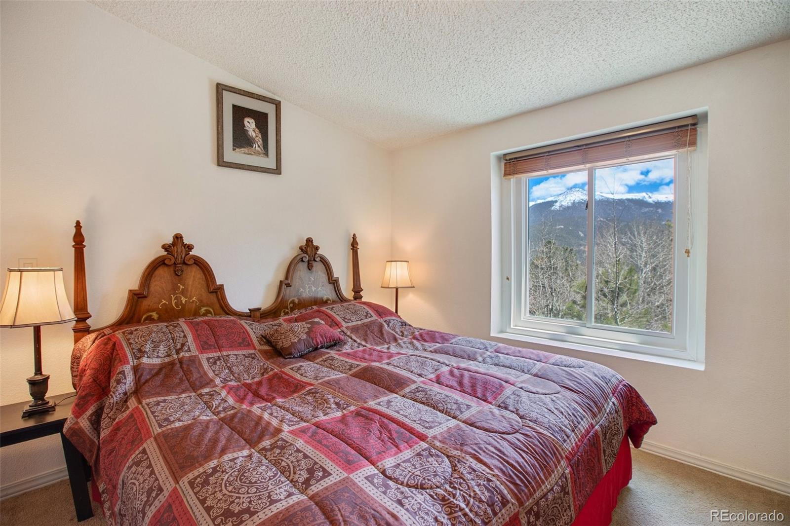 MLS Image #30 for 187  blue spruce road,divide, Colorado