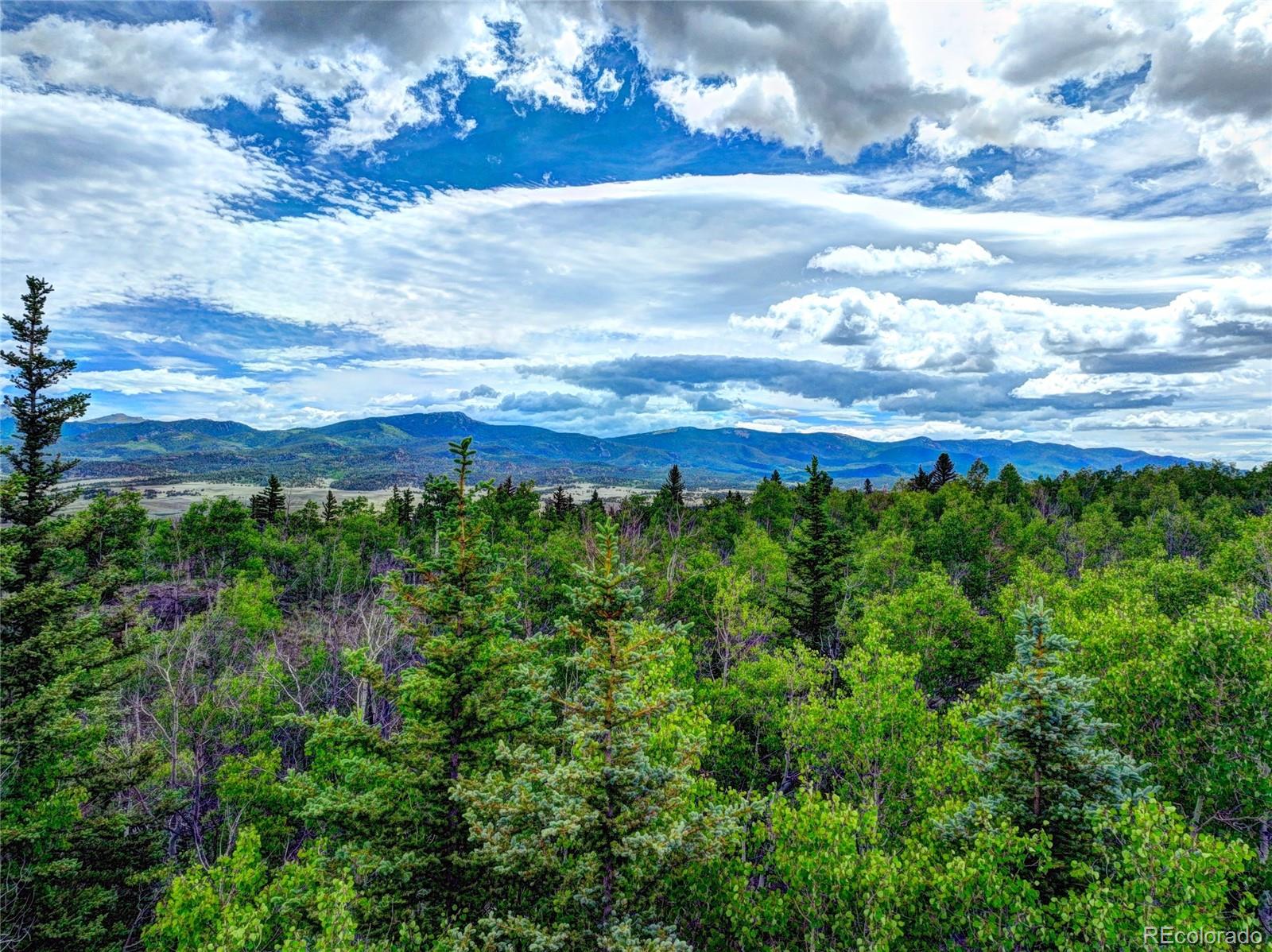 MLS Image #14 for 77  spoke court,jefferson, Colorado