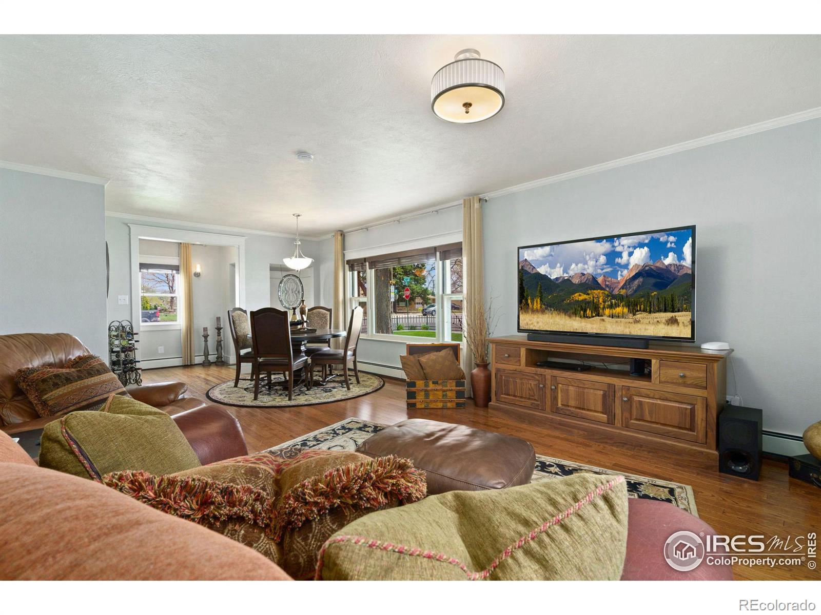 MLS Image #6 for 600  oak street,windsor, Colorado