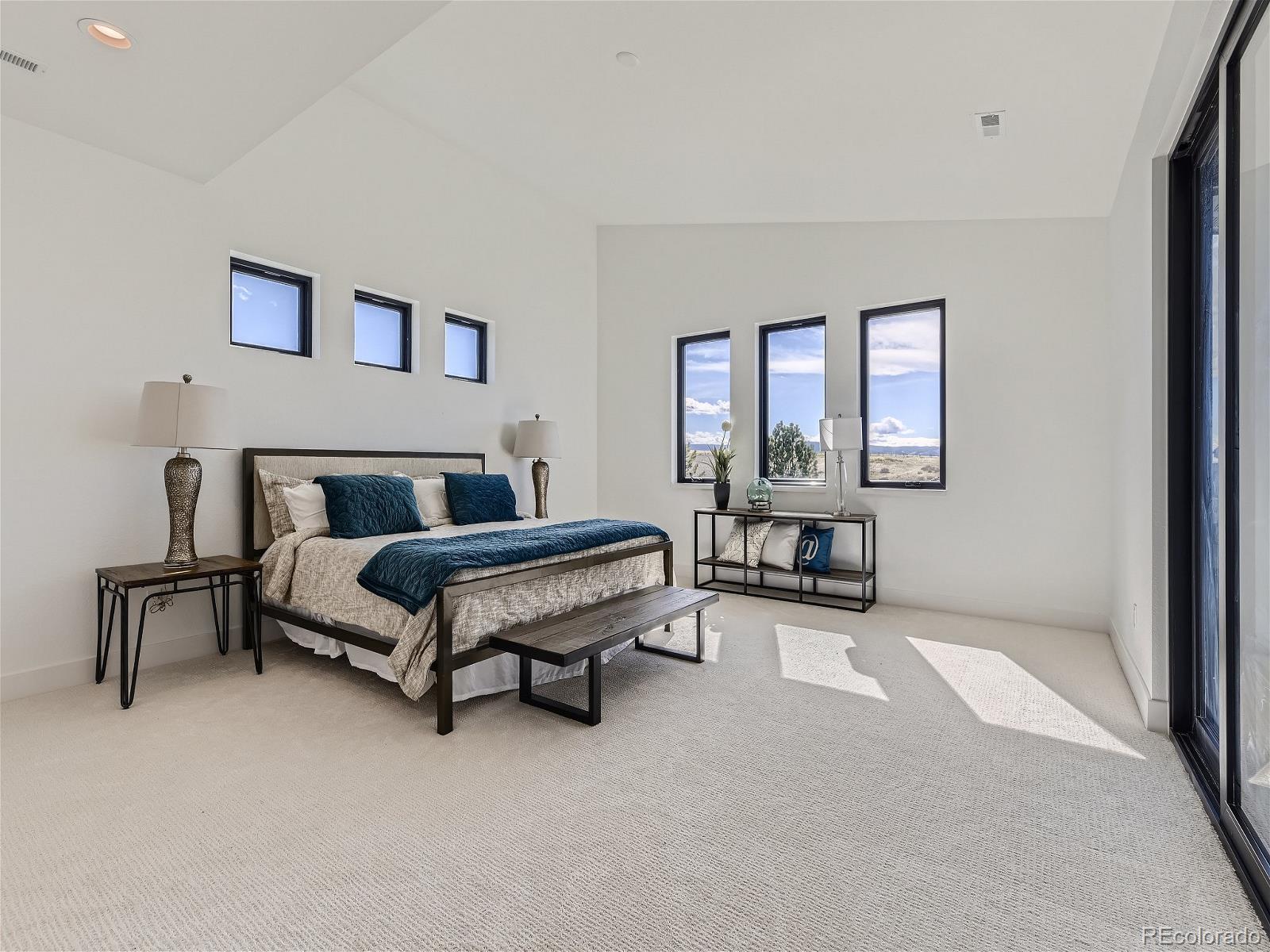MLS Image #13 for 314  castlemaine court,castle rock, Colorado