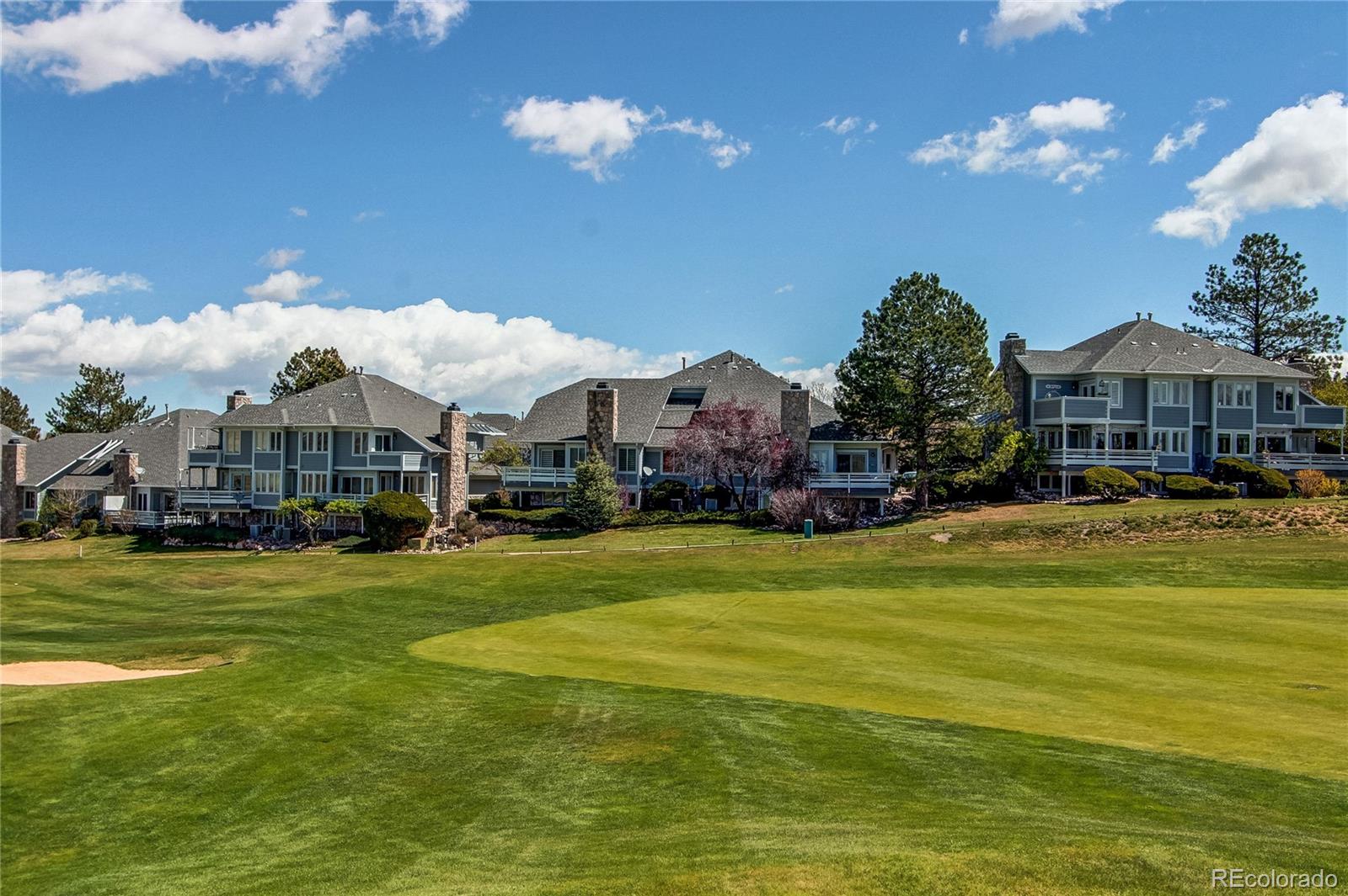 MLS Image #6 for 2300  emerald drive,castle rock, Colorado