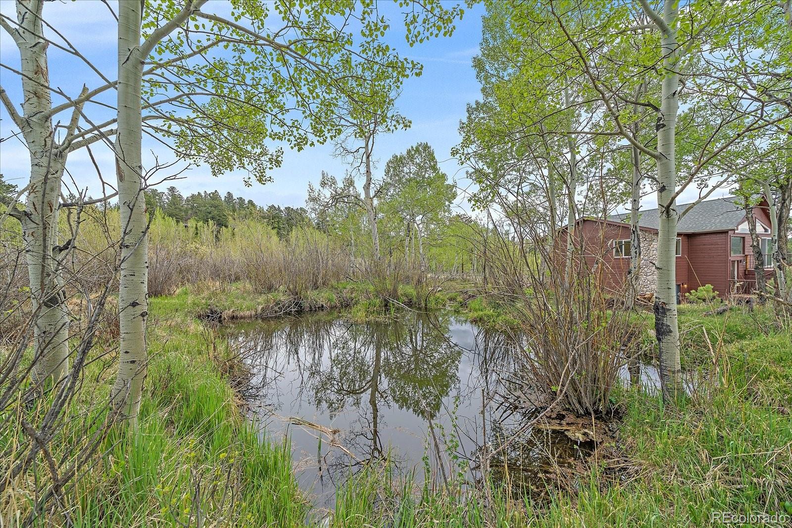 MLS Image #32 for 396  stage coach drive,bailey, Colorado