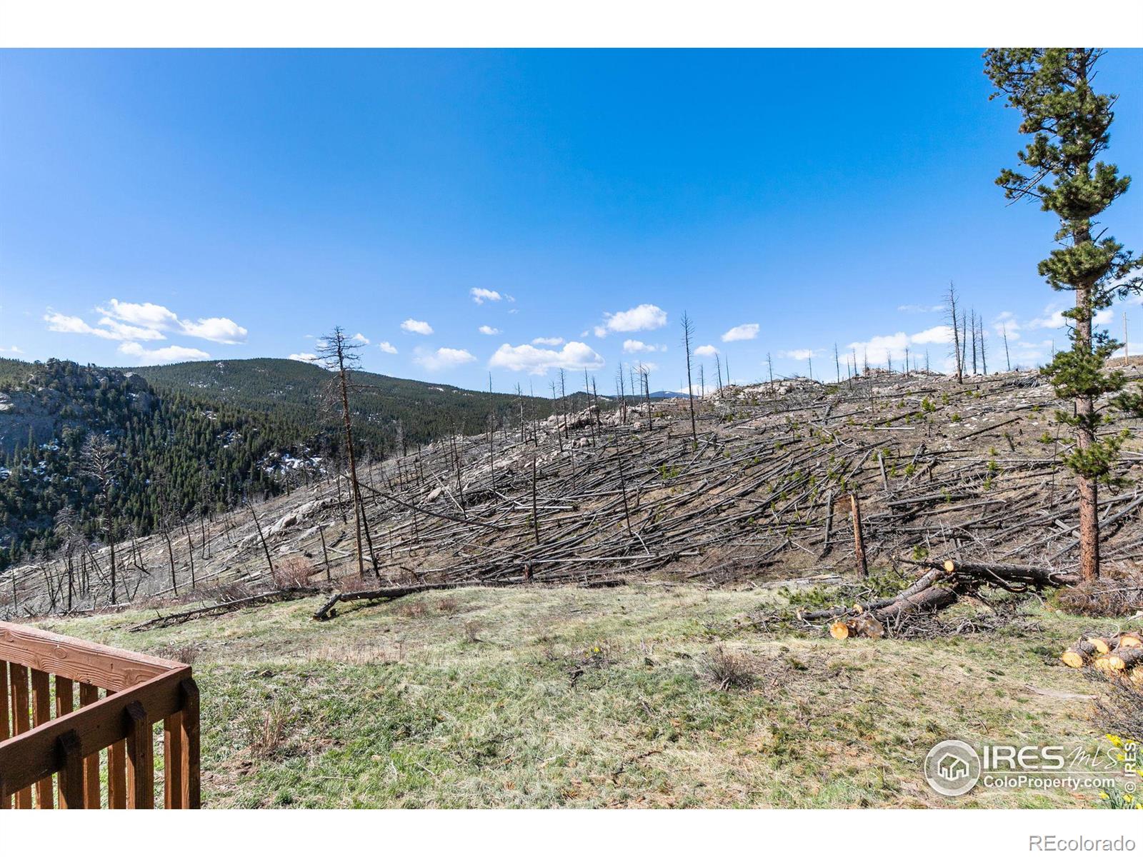 MLS Image #30 for 2804  ridge road,nederland, Colorado