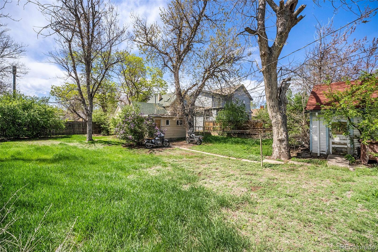 MLS Image #4 for 4552  winona court,denver, Colorado