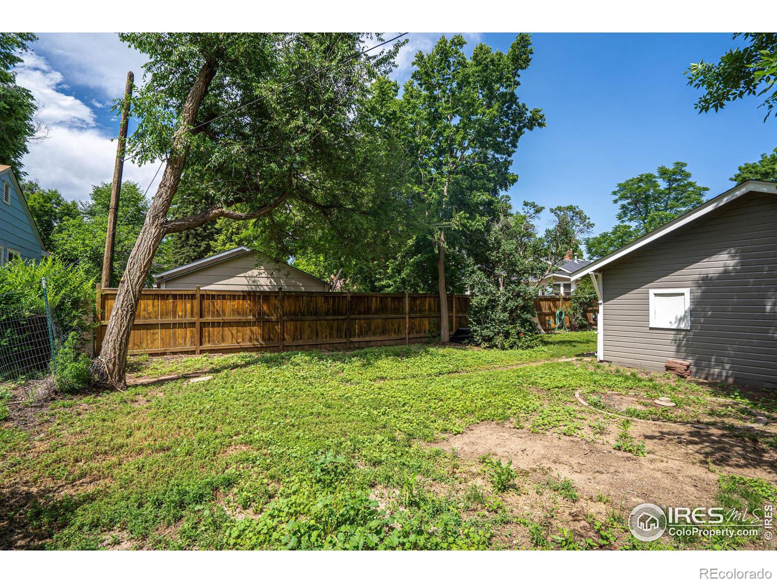 MLS Image #25 for 905  whedbee street,fort collins, Colorado